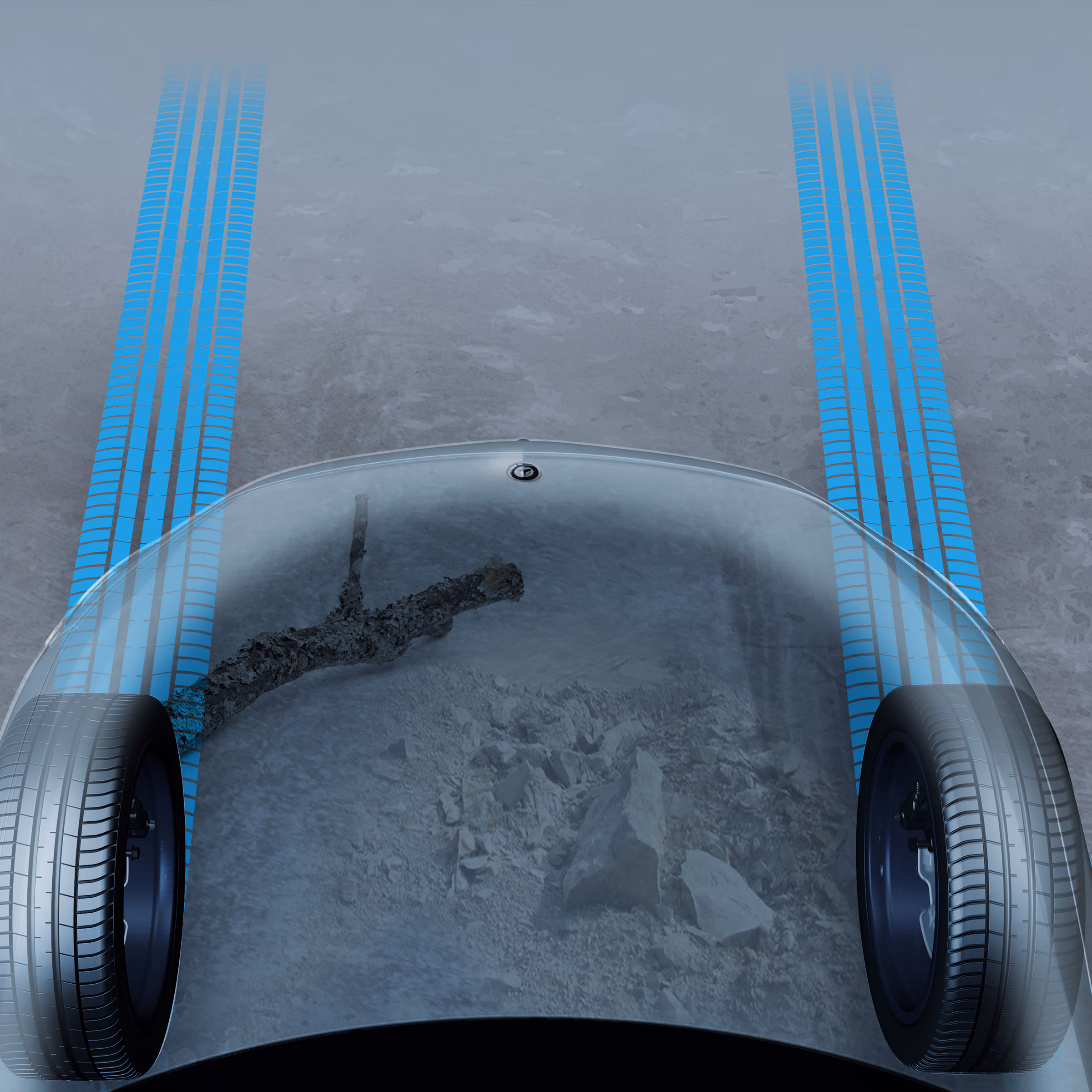 Transparent bonnet